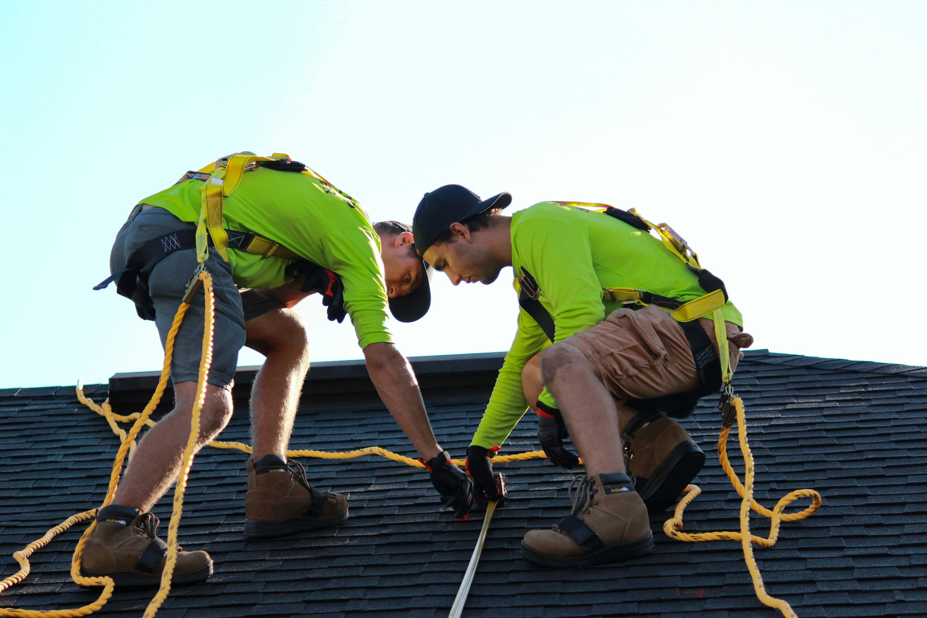 Two roofers in safety harnesses working together on an asphalt shingle roof